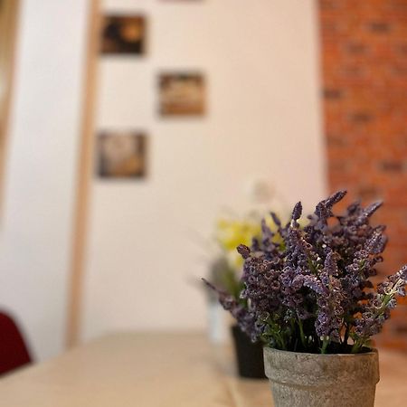 Mossapartments Bucureşti Ngoại thất bức ảnh
