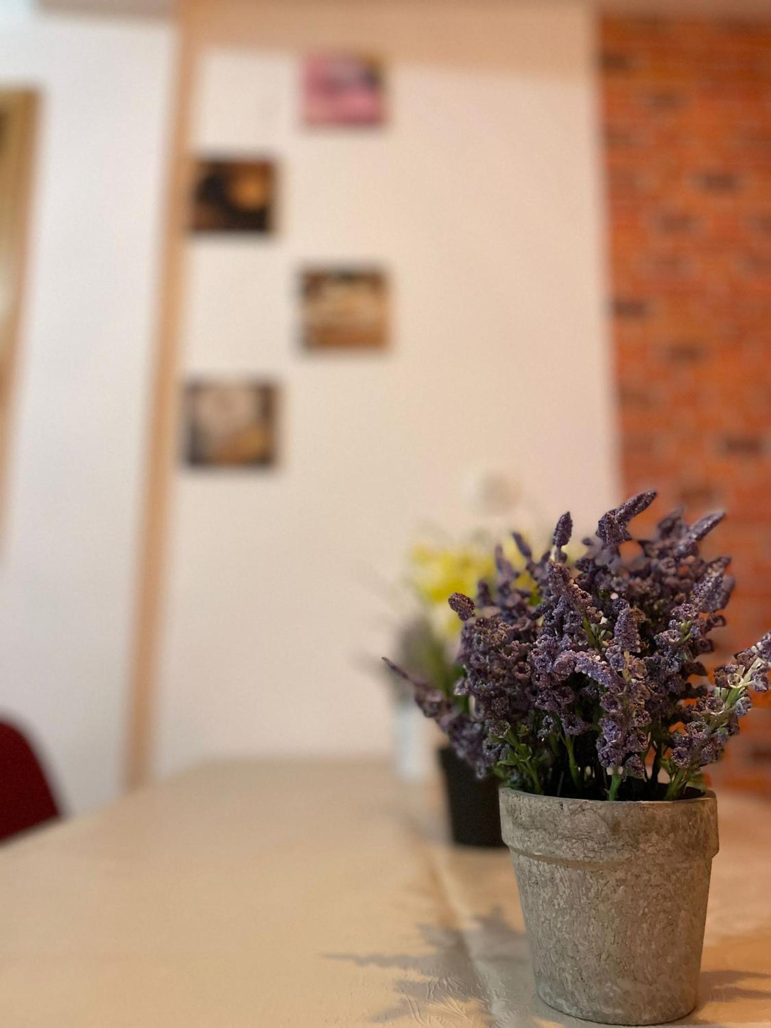 Mossapartments Bucureşti Ngoại thất bức ảnh